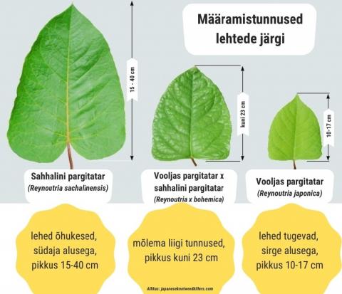 Pargitatarde määramistunnused