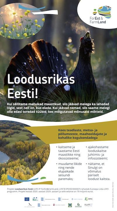 roll-up eesti keeles