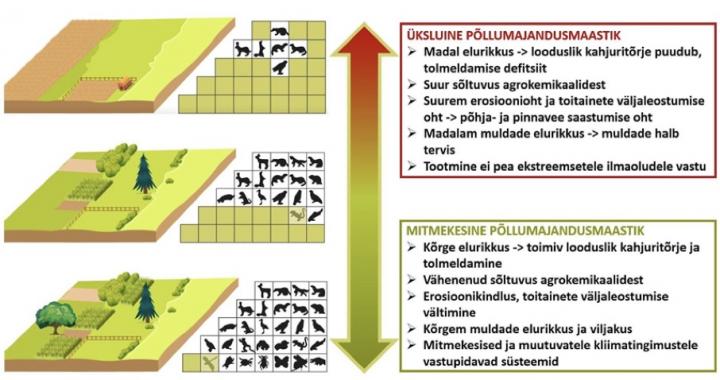 põllujmajandusmaastike elurikkuse joonis